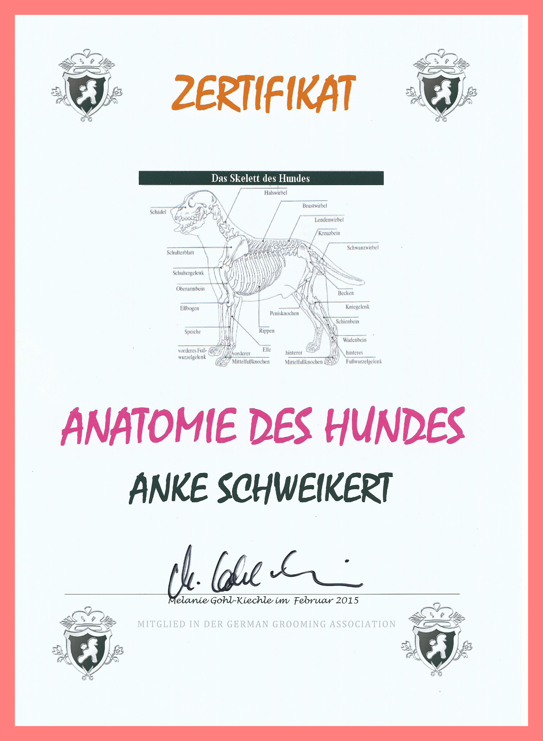 Zertifikat Anatomie Rahmen
